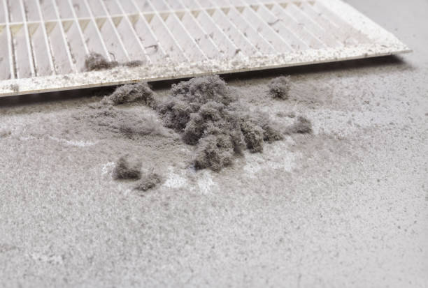 Best Duct Cleaning Specialists  in Gleed, WA